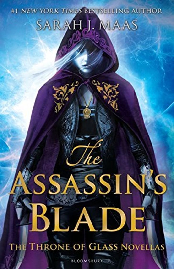 Book The Assassin's Blade