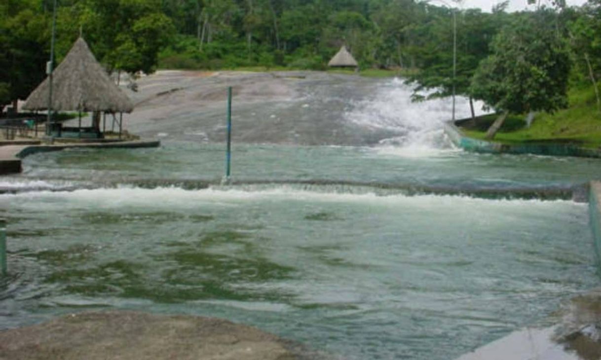 Lugar El tobogán de la selva