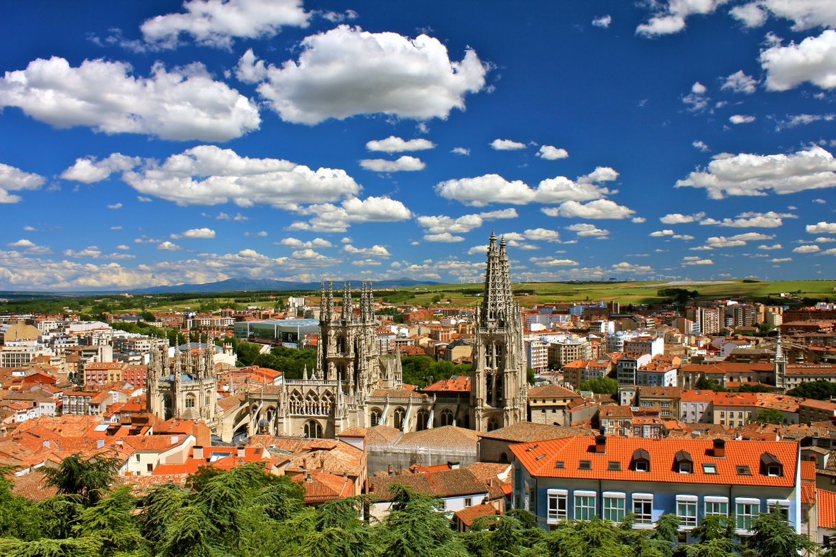 Place Burgos