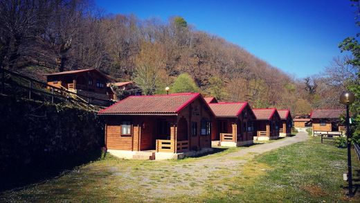 Arenas de Cabrales - Camping