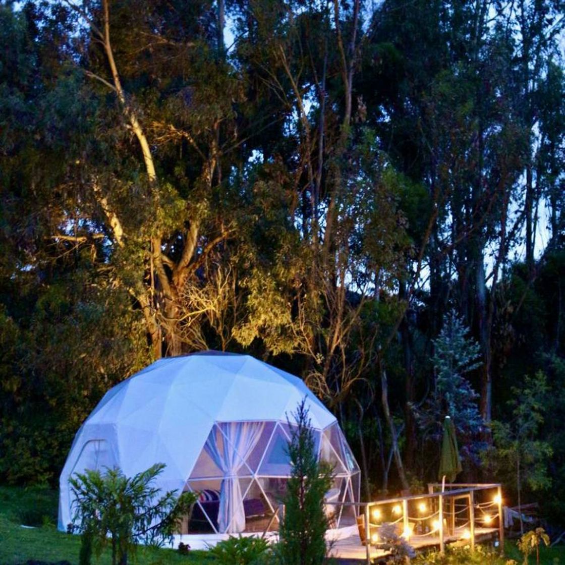 Lugar Kingdome Glamping