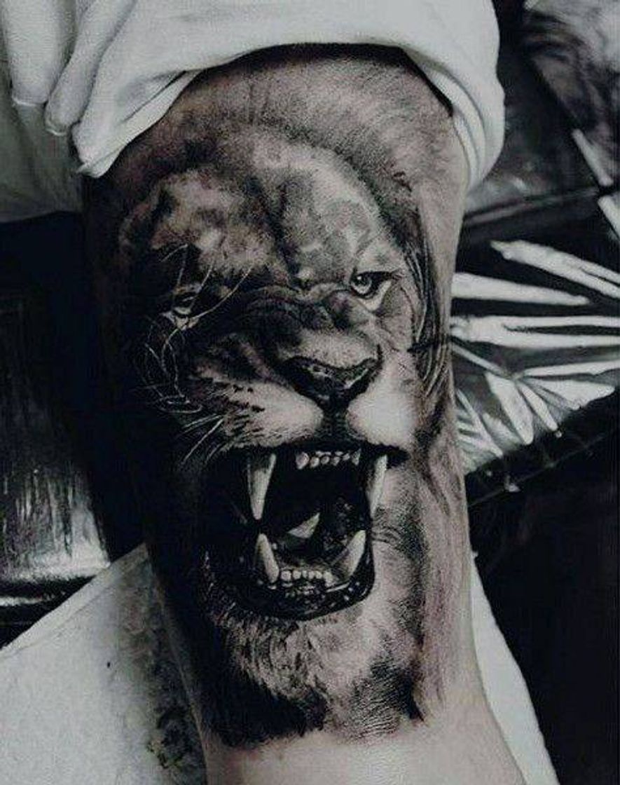 Social Leão realista🦁💥