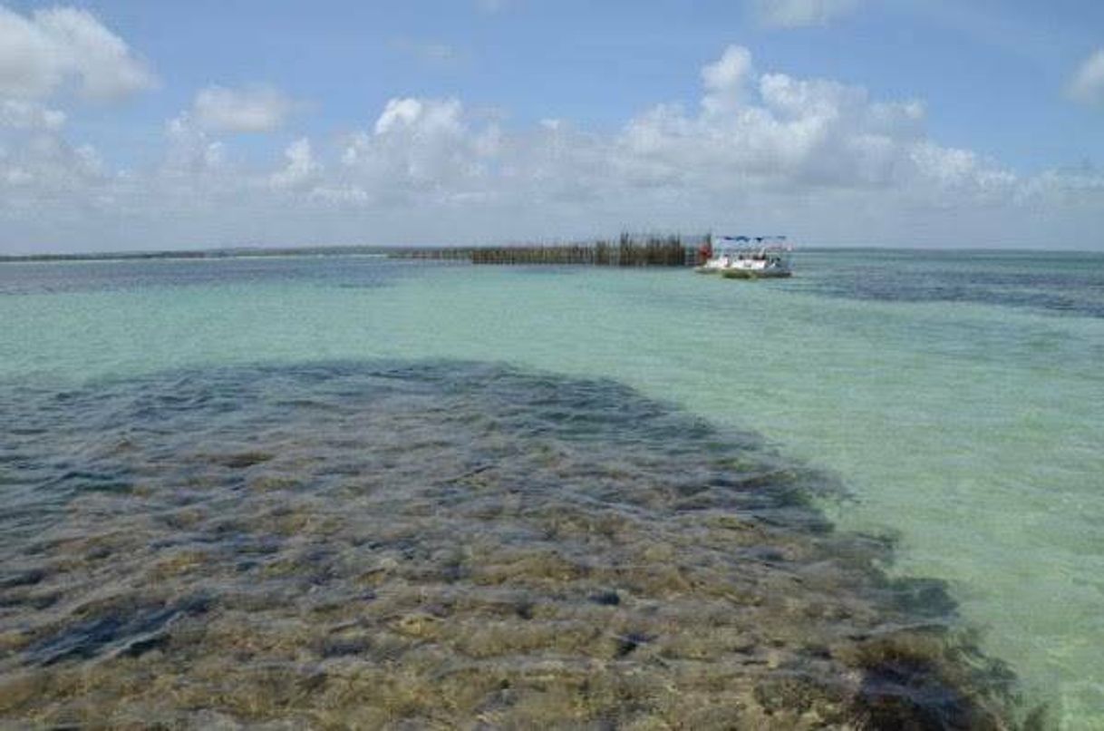 Lugar Praia de Lucena