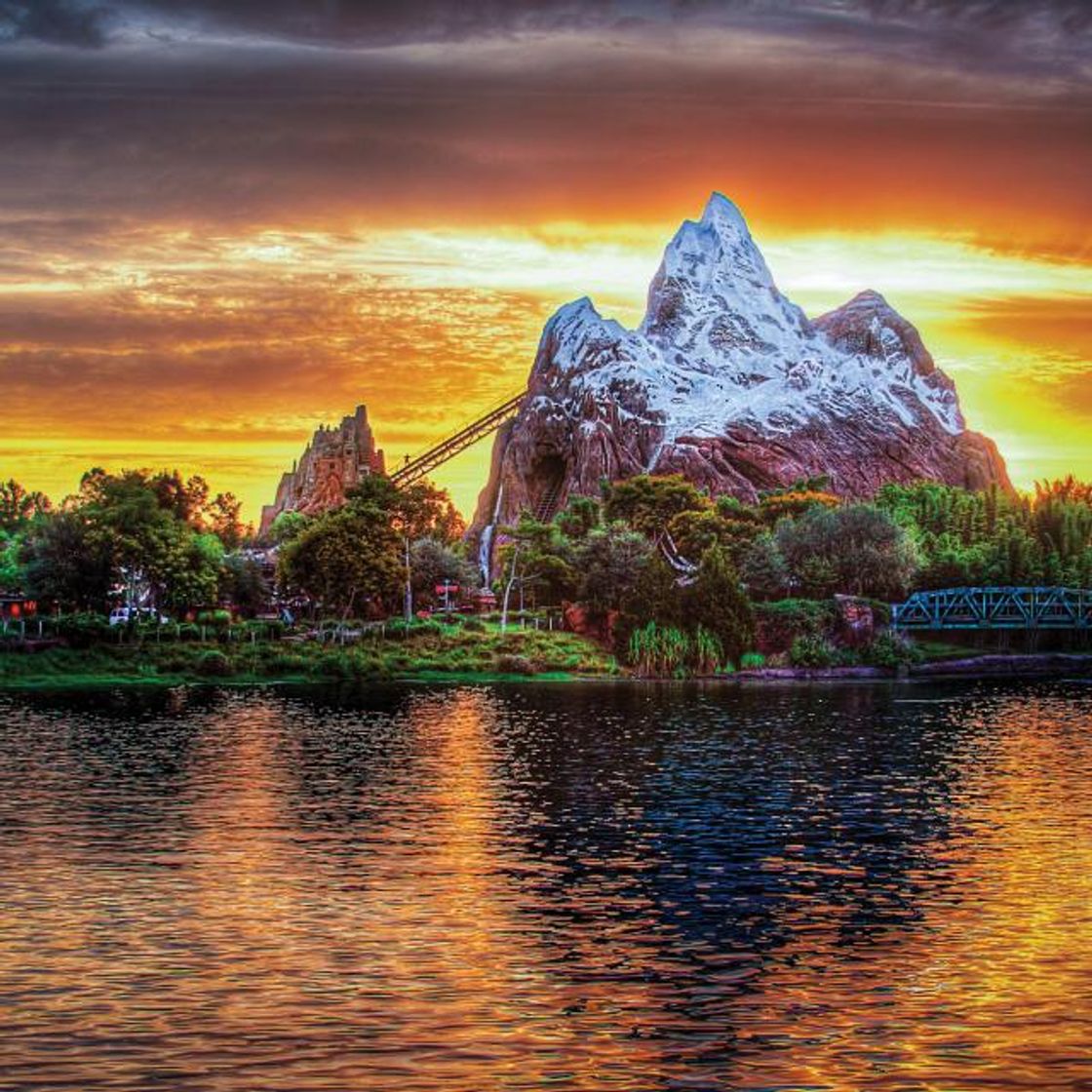 Lugar Animal Kingdom