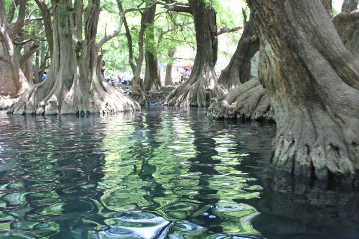 Lugares Camecuaro lake