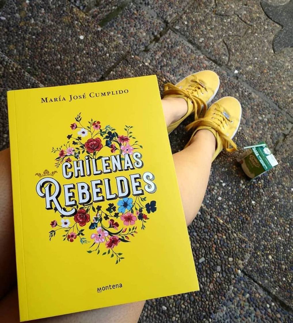 Book Chilenas rebeldes