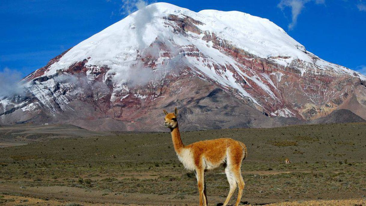 Lugar Volcán Chimborazo