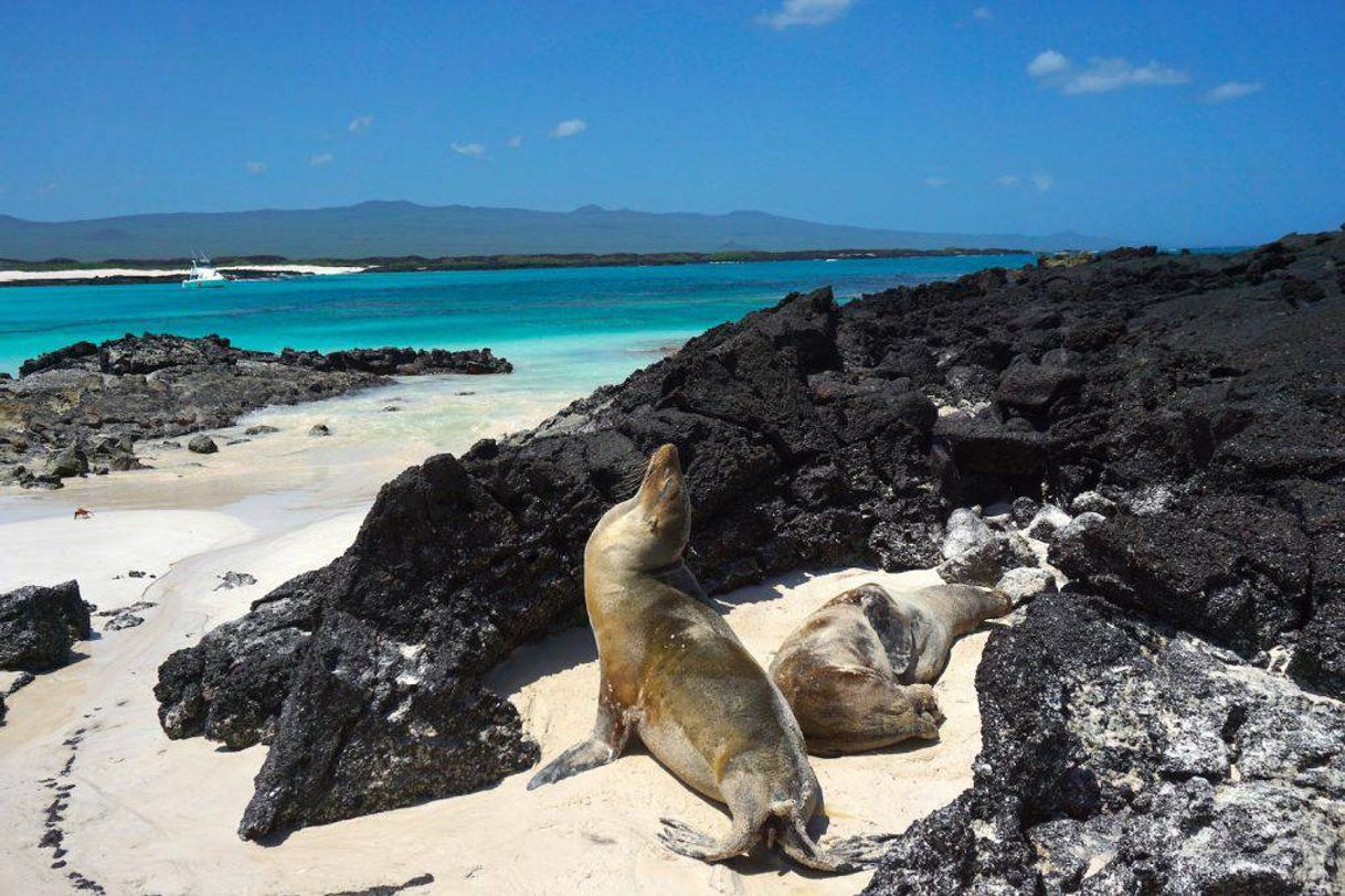 Place Galapagos