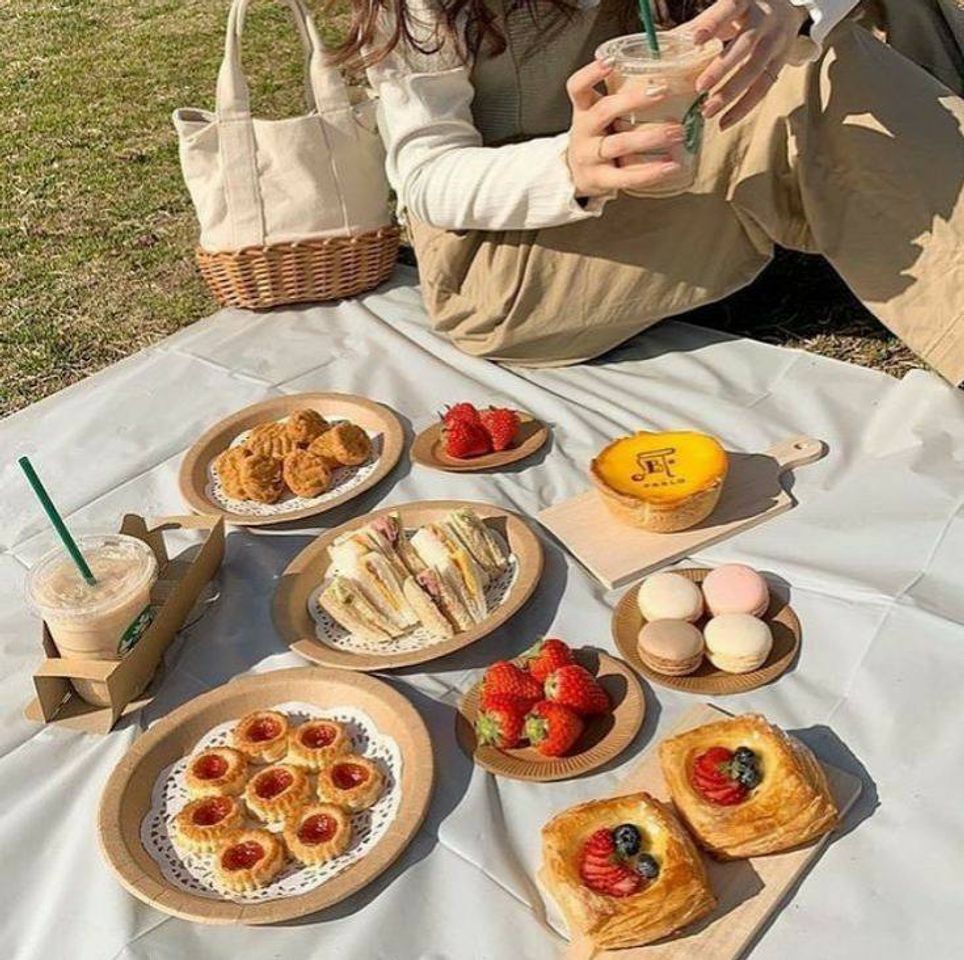 Fashion Picnic