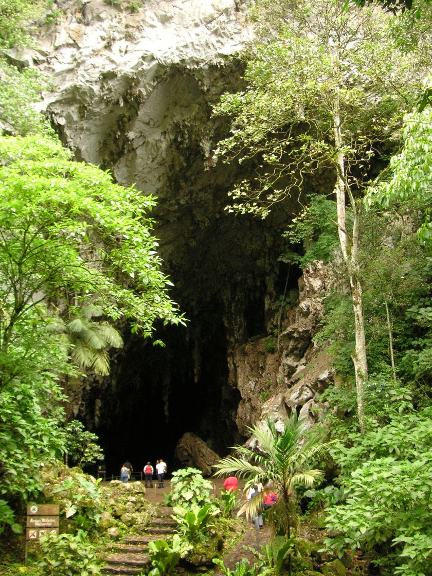 Lugar Parque Nacional El Guácharo