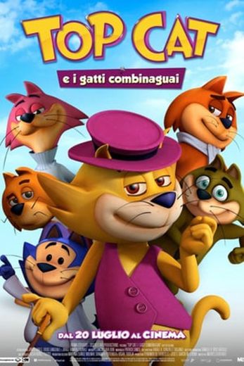 Top Cat Begins