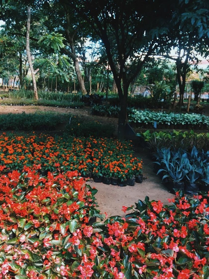 Place Jardín Botánico Joaquín Antonio Uribe