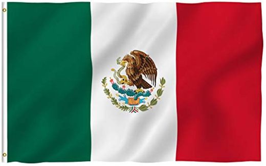 Anley Fly Breeze 90 x 150 cm Bandera México
