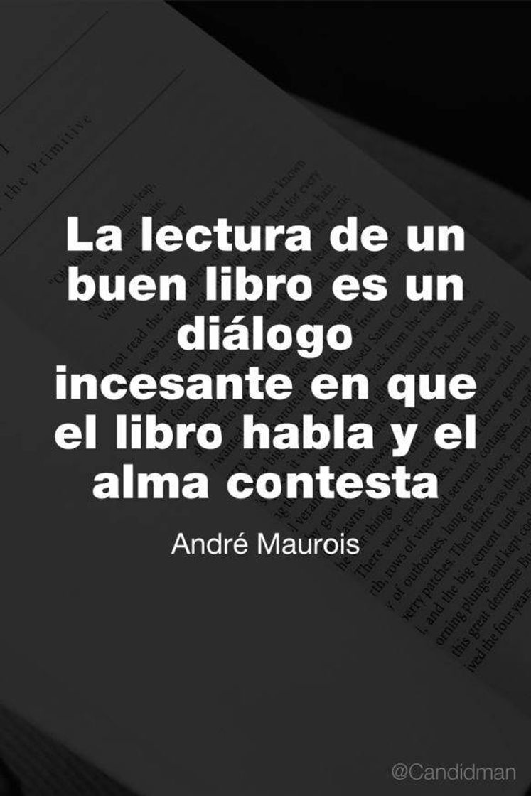 Moda Frase literaria 