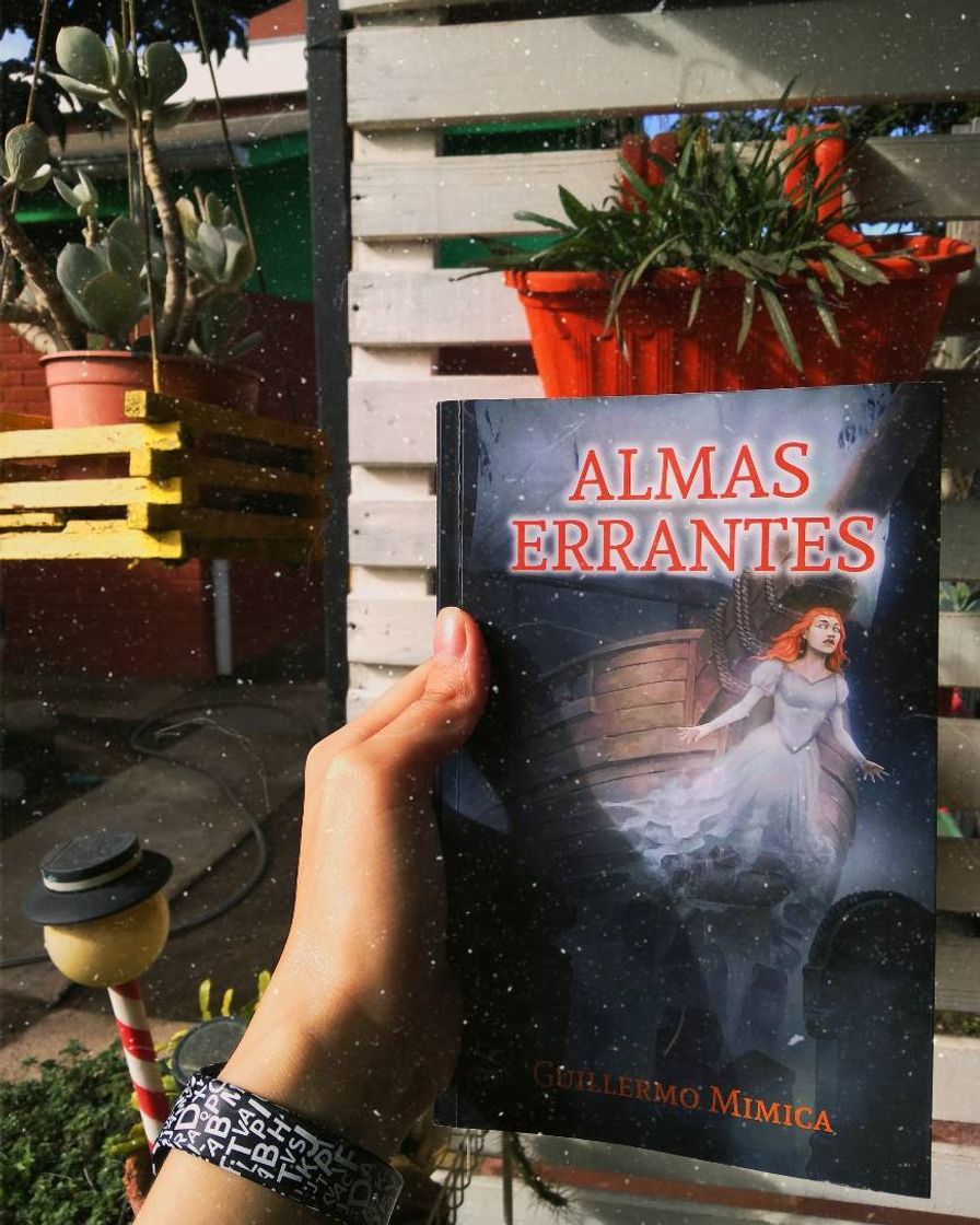 Book Libro almas errantes 