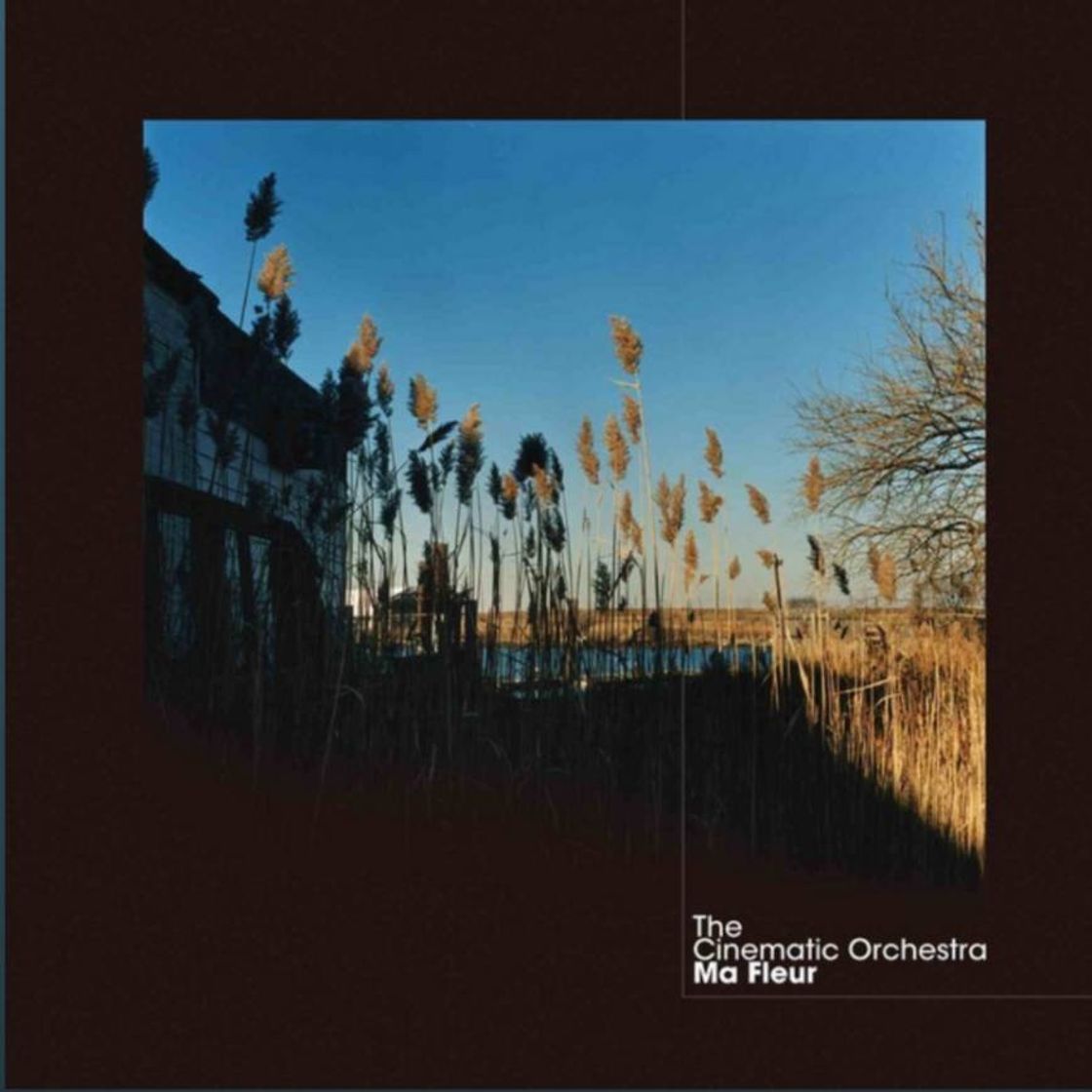 Music Breathe by The Cinematic Orchestra 