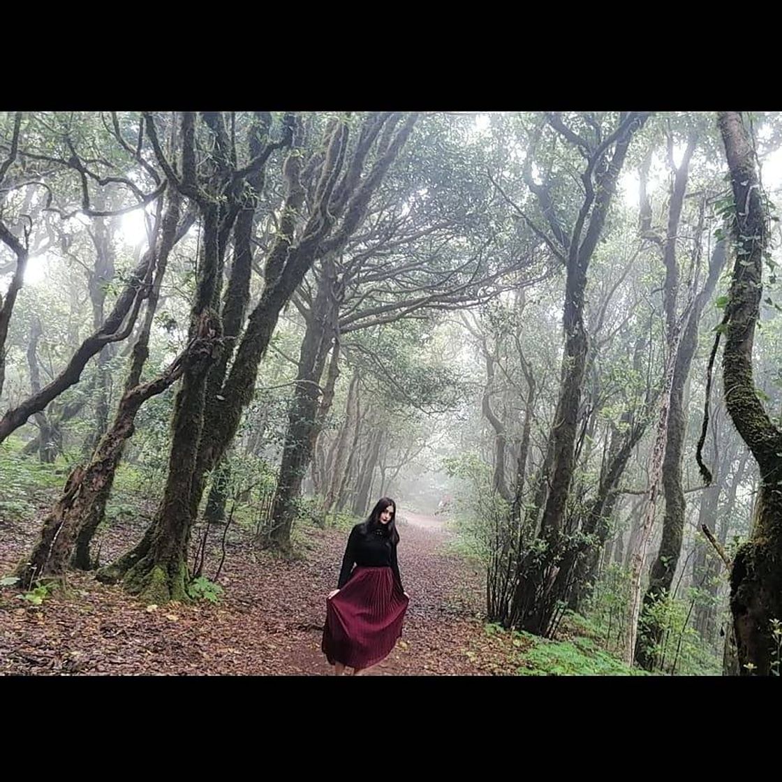 Place Bosque Encantado (La Ensillada)