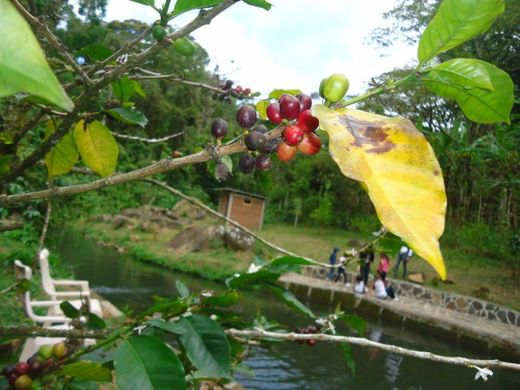 Hotel Aguas del Arenal