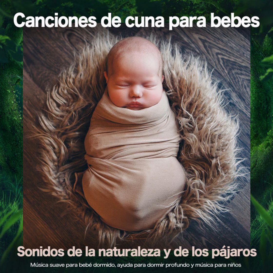 Canciones de cuna - Sonidos de aves
