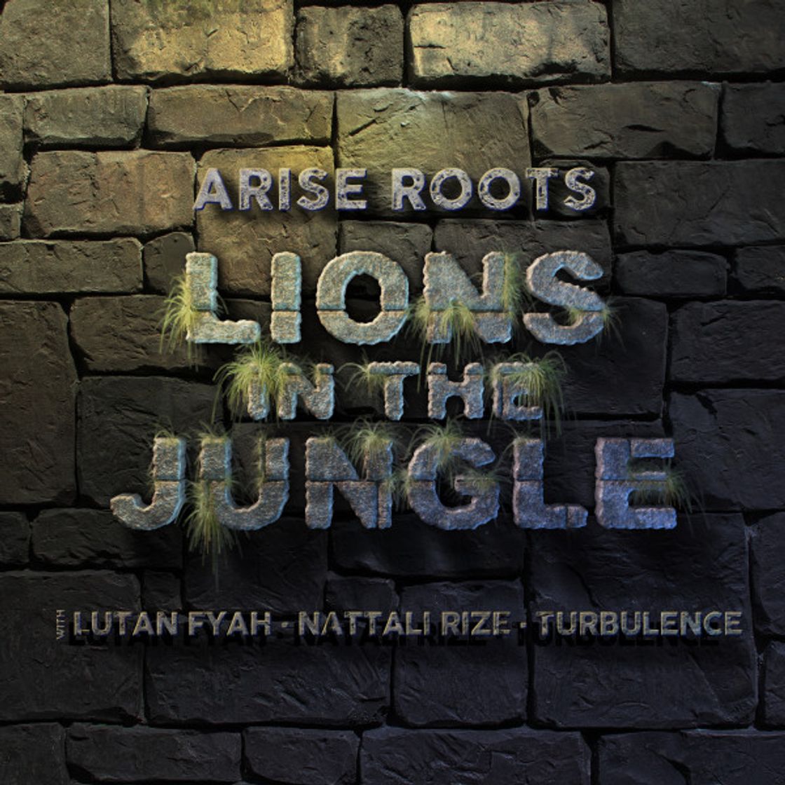 Music Lions in the Jungle