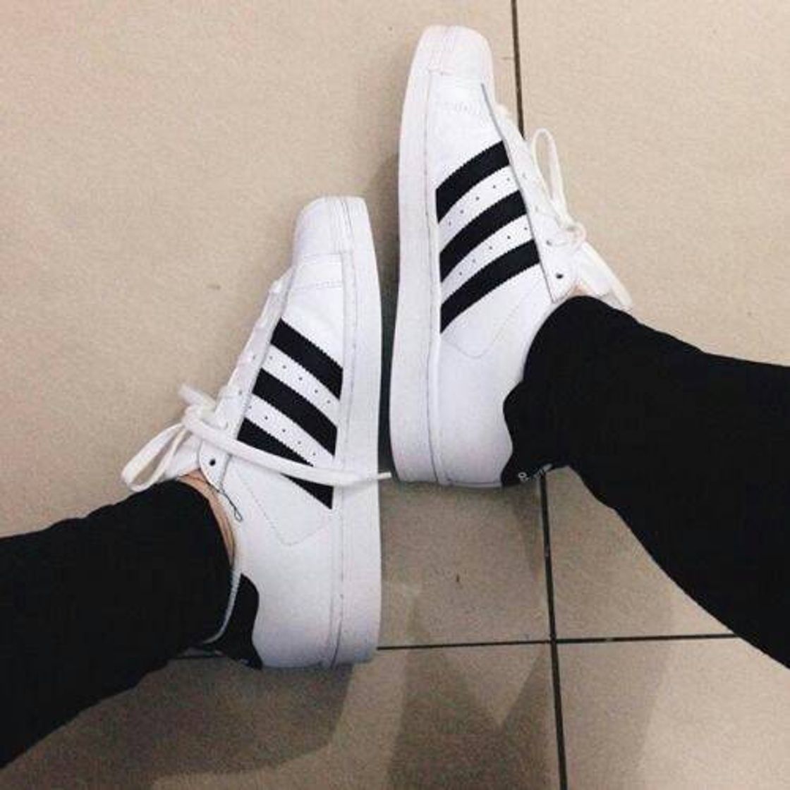 Social adidas