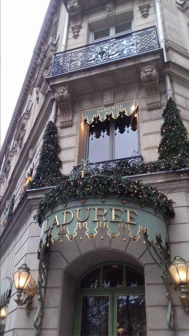 Restaurants Ladurée Paris Champs Elysées