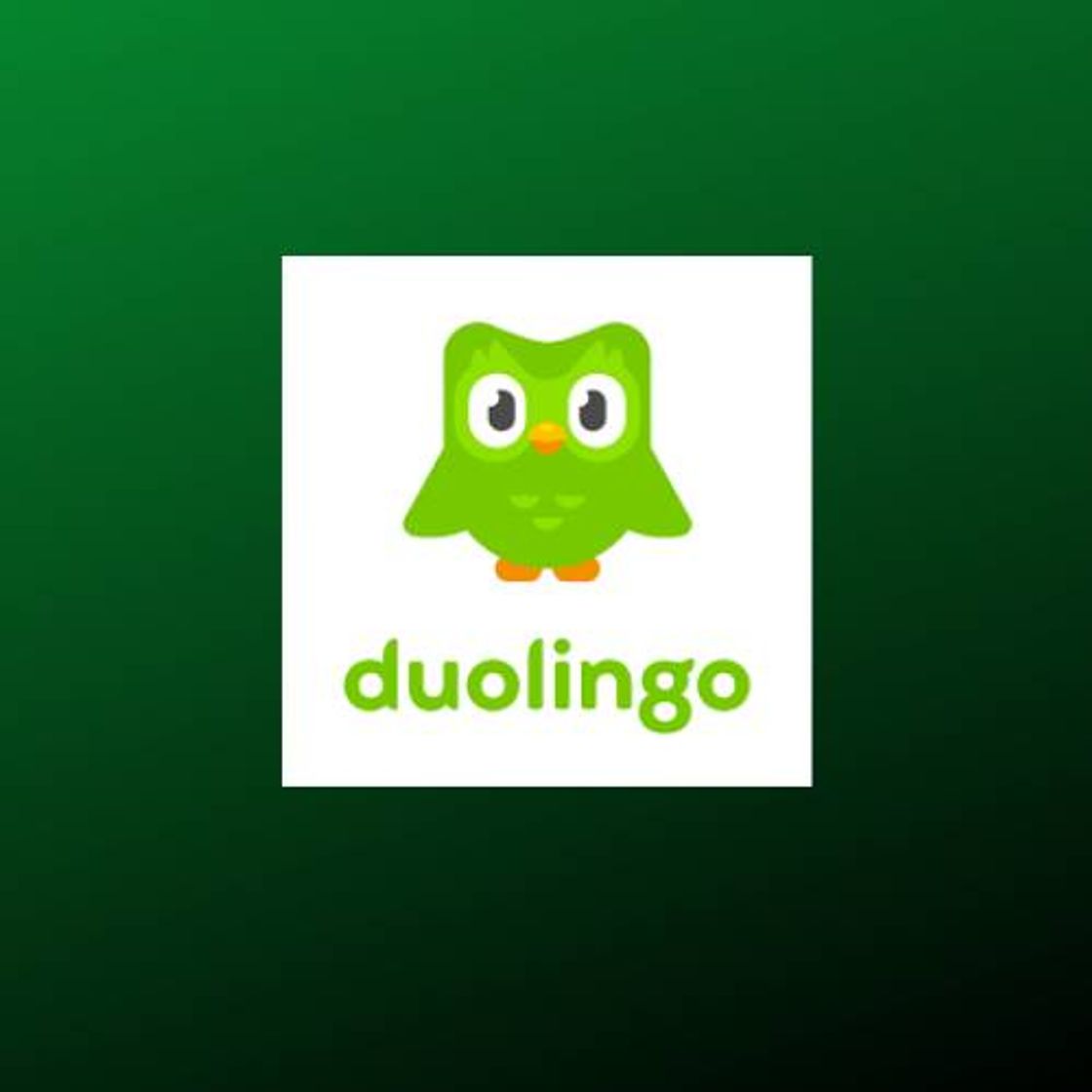 App Duolingo: aprende Idiomas