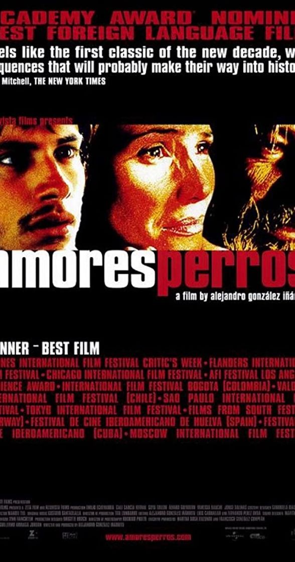 Película Amores perros