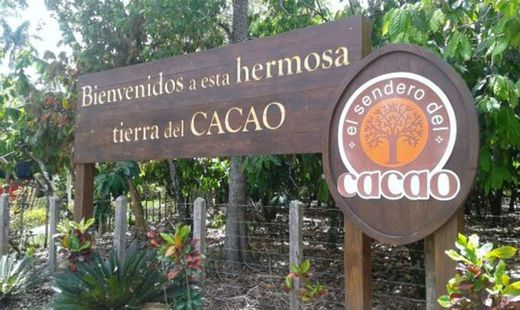 El Sendero del Cacao