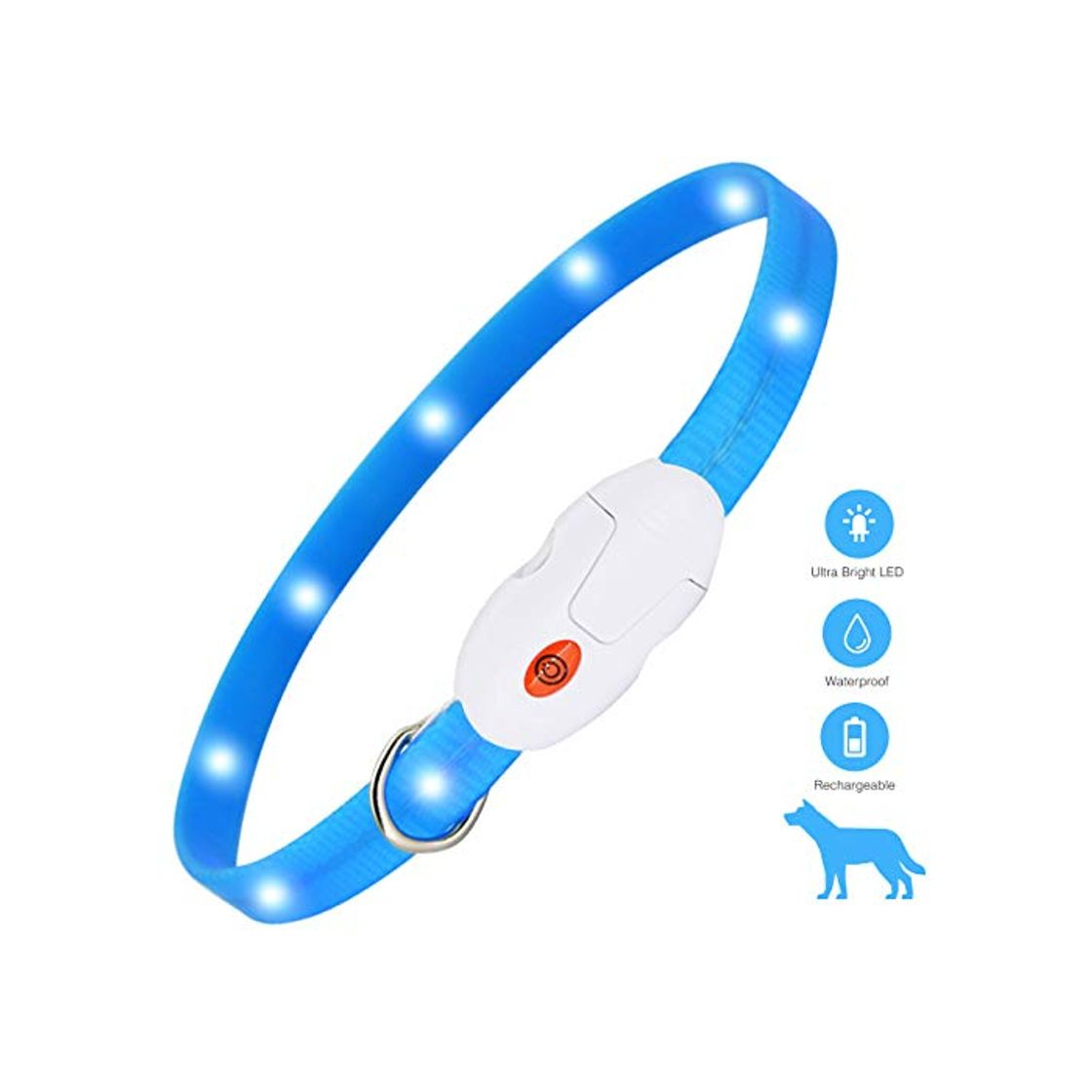 Products kolpop Collar Luminoso Perro