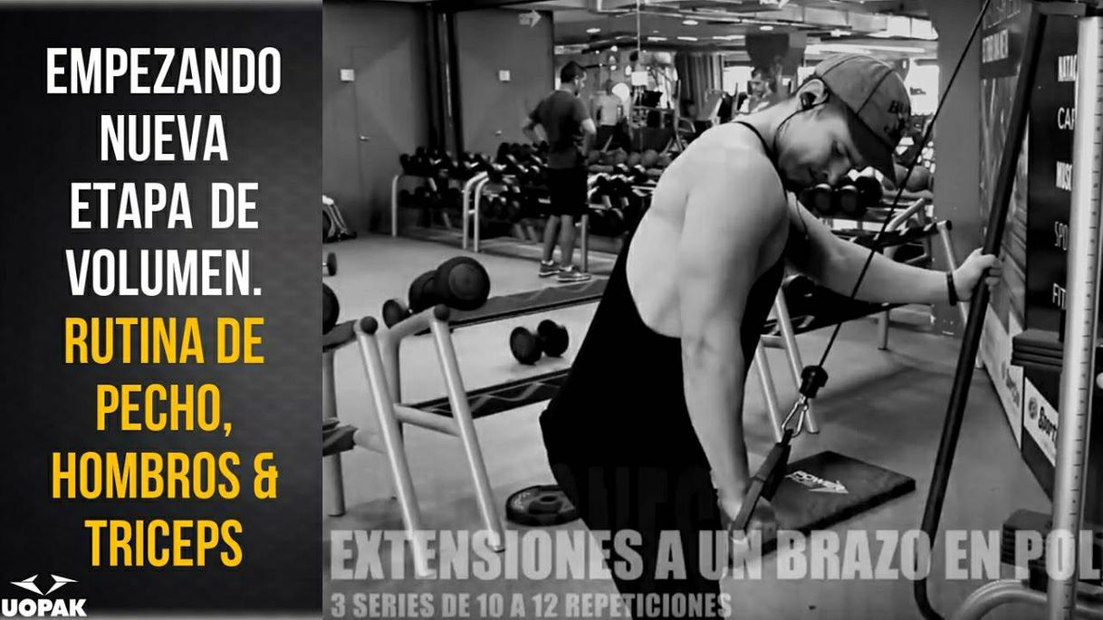 Social RUTINA DE ENTRENAMIENTO PARA PECHO, HOMBROS Y TRICEPS EN PER
