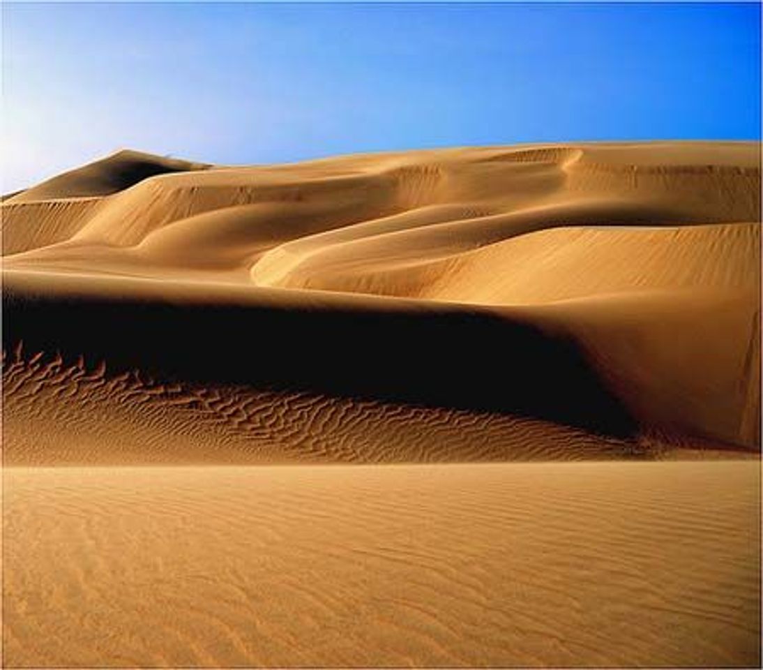 Place Parque Nacional Médanos De Coro