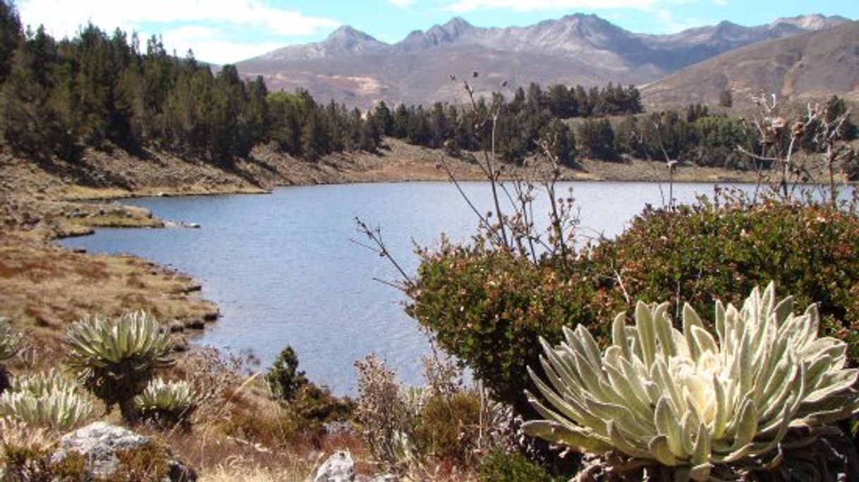 Moda Laguna de Mucubaji 