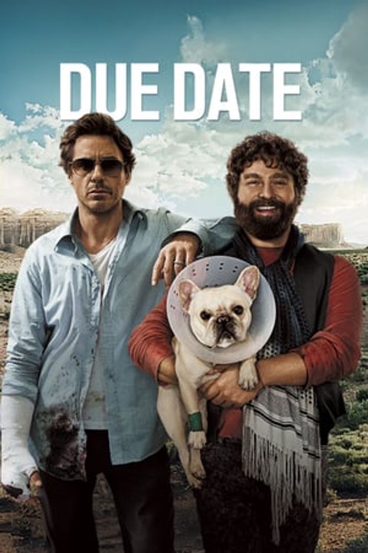 Movie Salidos de cuentas