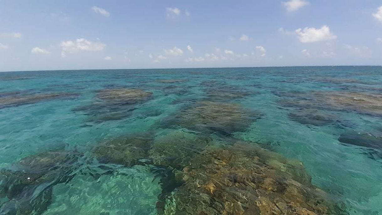 Lugar Natal