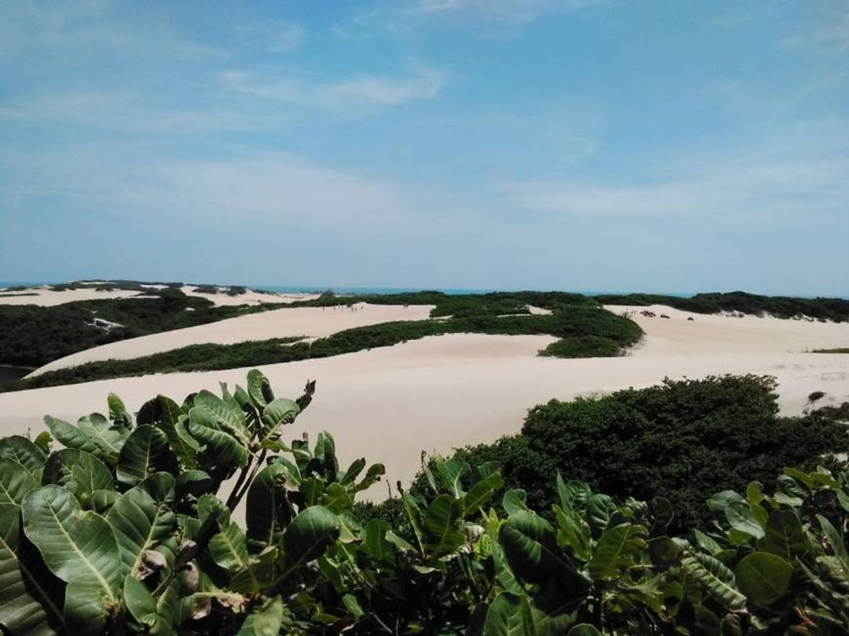 Lugar Praia de Genipabu