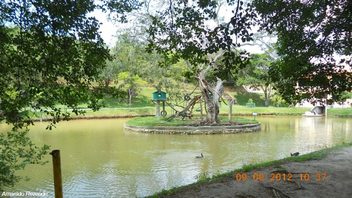 Lugar Parque da Cidade