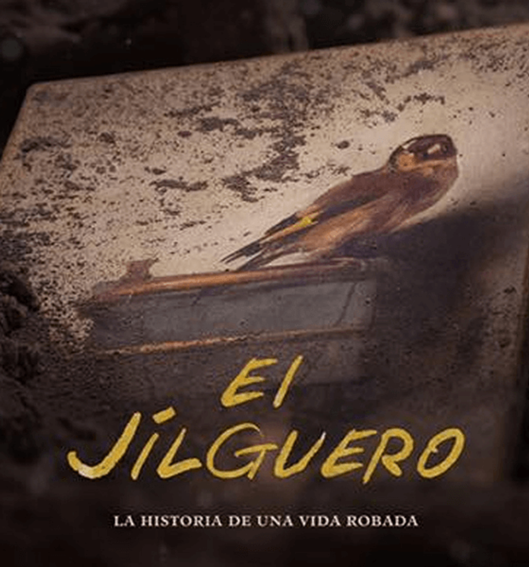 Movie El jilguero
