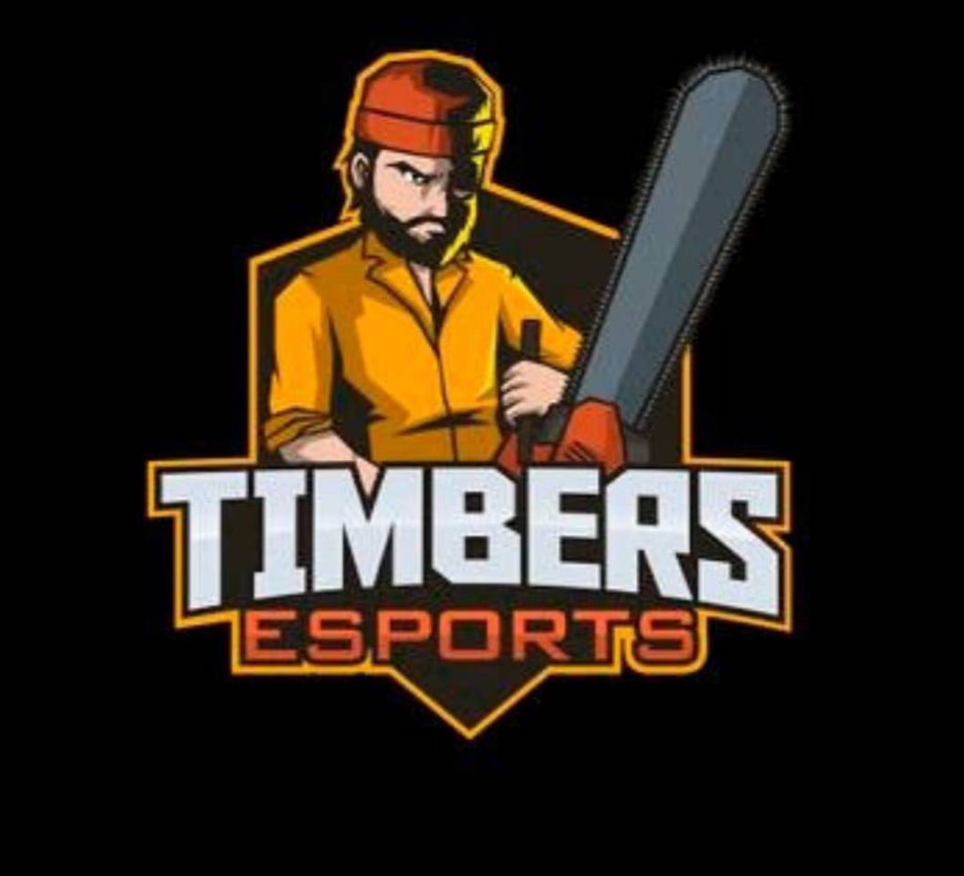 Moda Timbers esport's