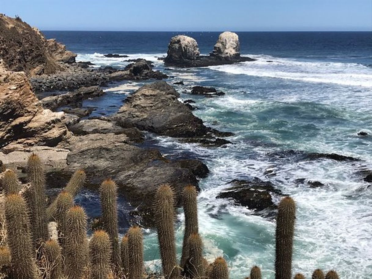 Restaurantes Pichilemu