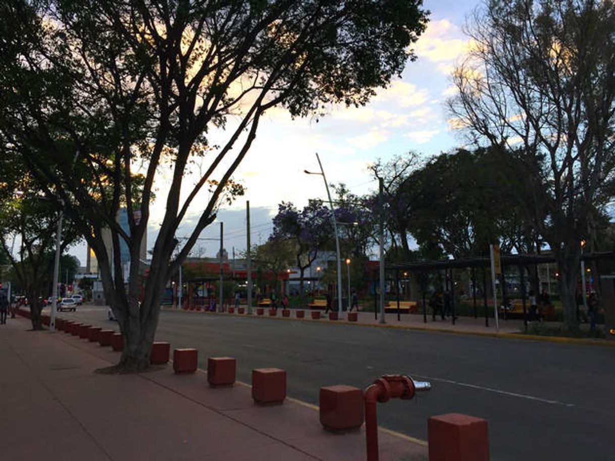 Lugar Parque Revolución