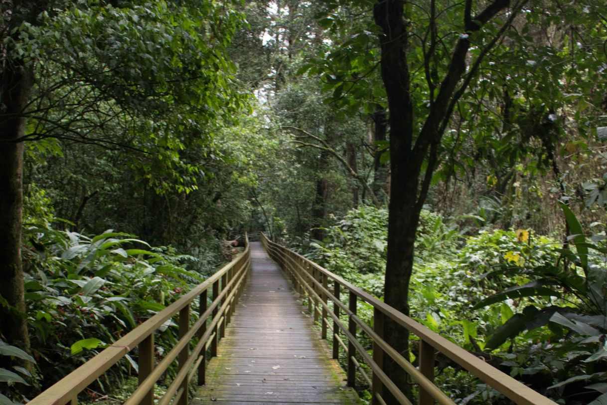 Lugares Parque Ambiental Río Loro