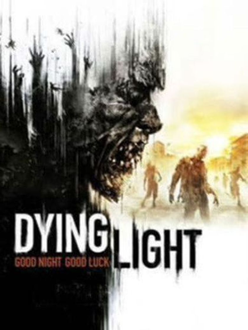 Videogames Dying Light