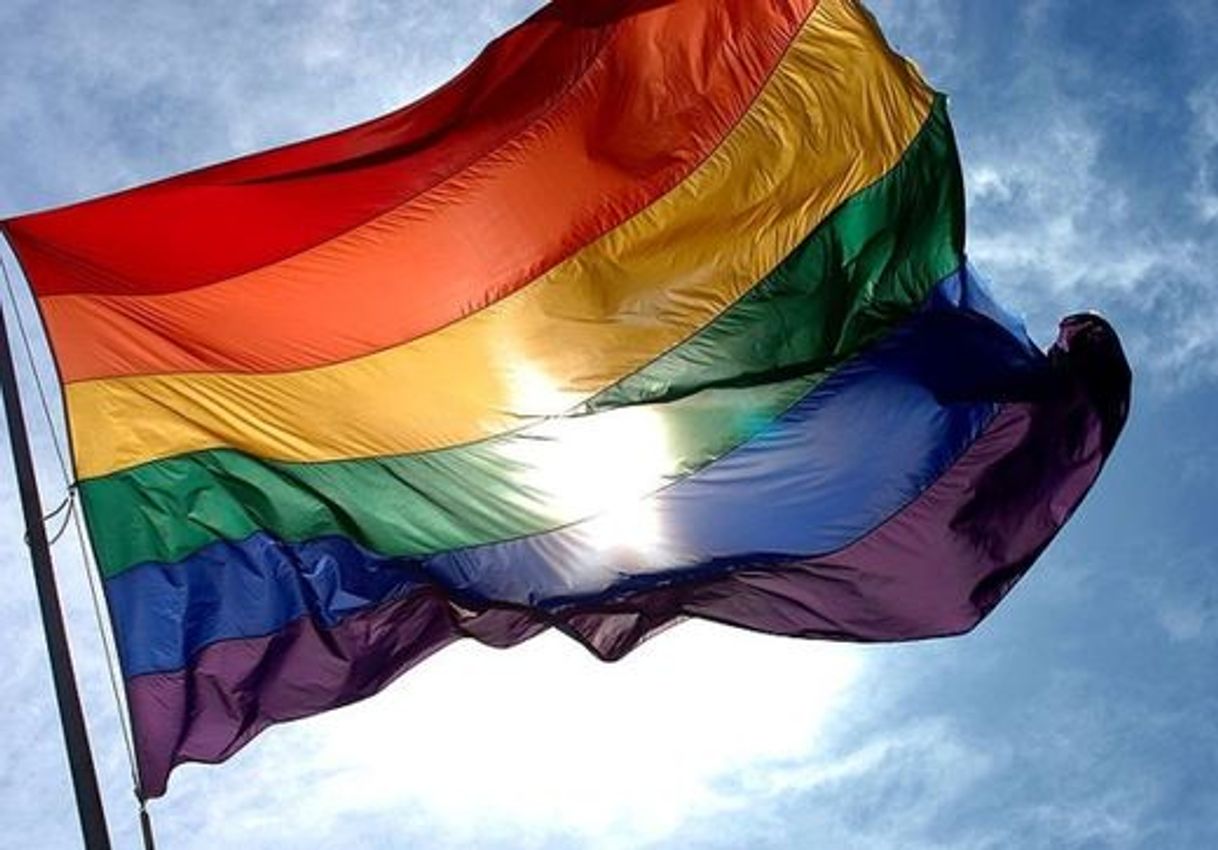 Social Direitos de lgbt