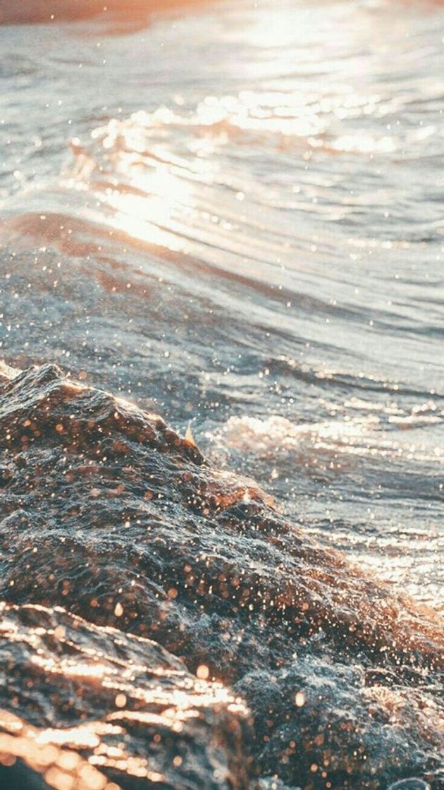 waves 🌊