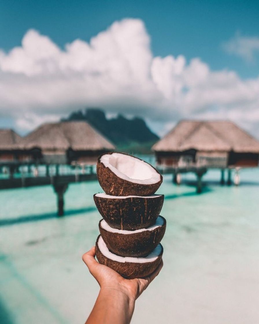 Coconut 🥥 🌴