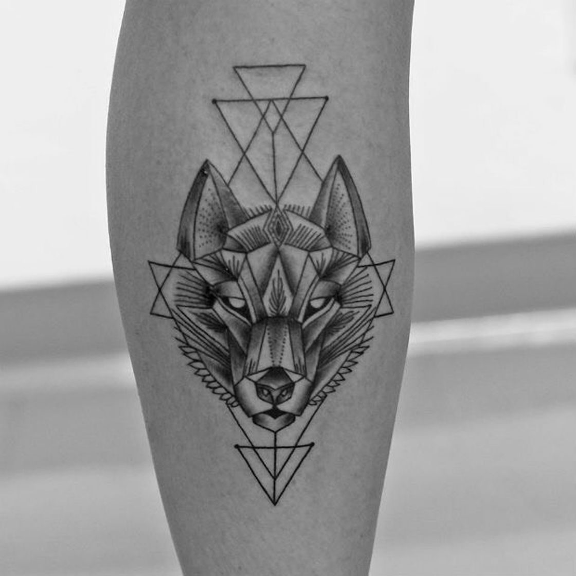 Moda Tatuagem Lobo