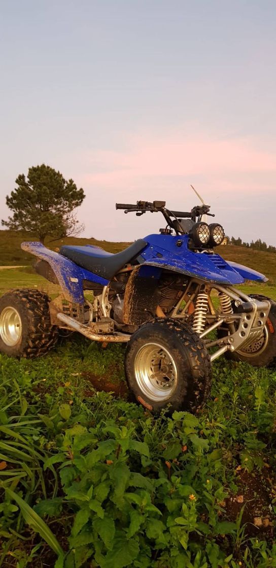 Product Yamaha warrior 350 yfm