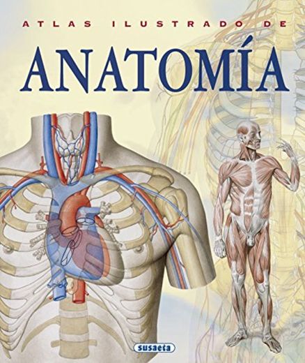 Atlas Ilustrado De Anatomia