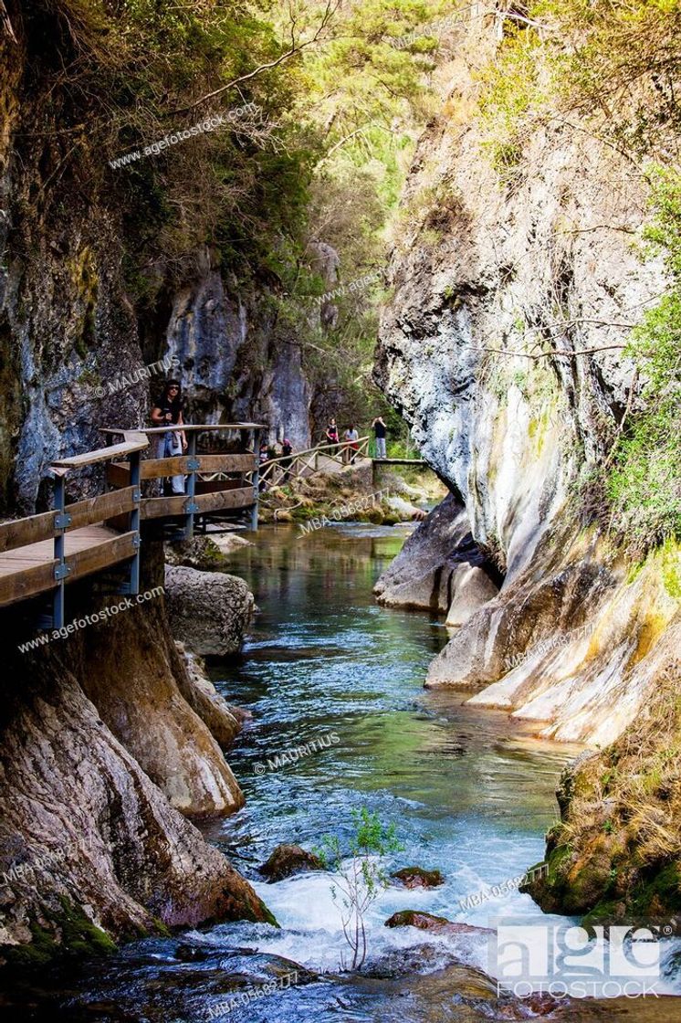 Place Parque Natural Sierras de Cazorla, Segura y las Villas